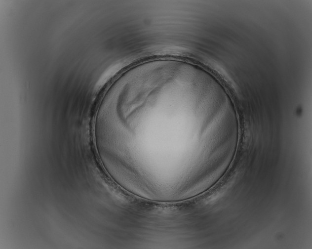X0000089460978200707061259