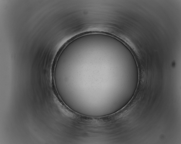 X0000089460980200707061259