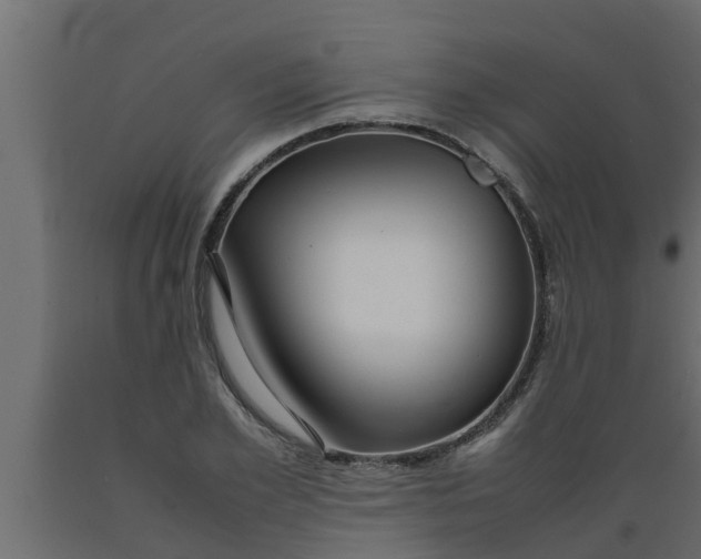 X0000089460981200707061259