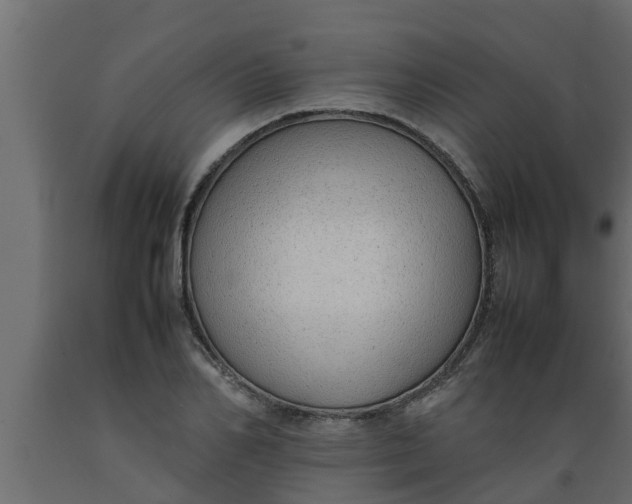 X0000089460982200707061259
