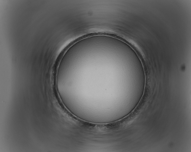 X0000089460983200707061259