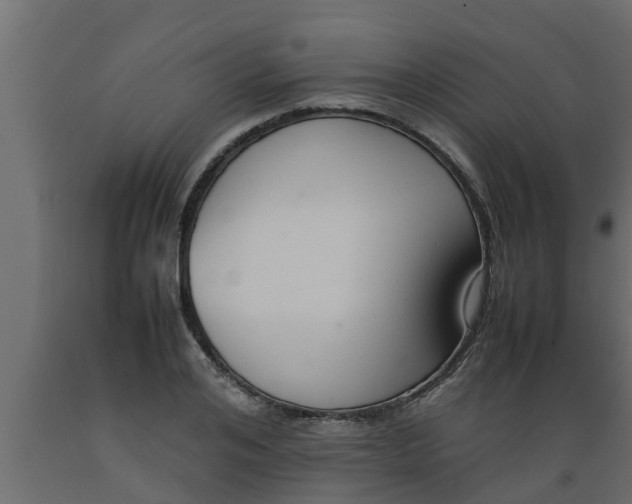 X0000089460984200707061259