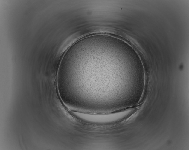 X0000089460985200707061259