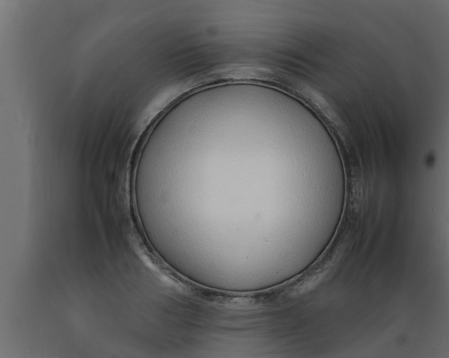 X0000089460986200707061259
