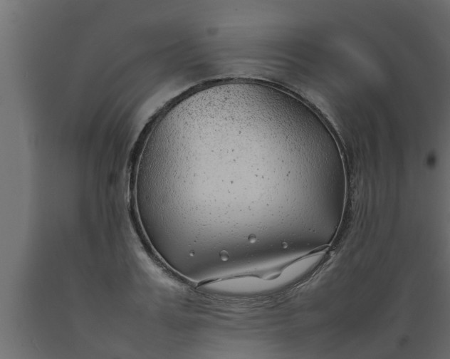 X0000089460987200707061259