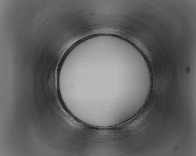 X0000089460988200707061259