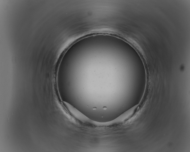 X0000089460989200707061259