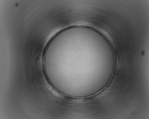 X0000089460990200707061259