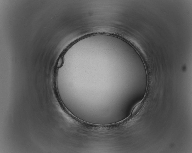 X0000089460991200707061259