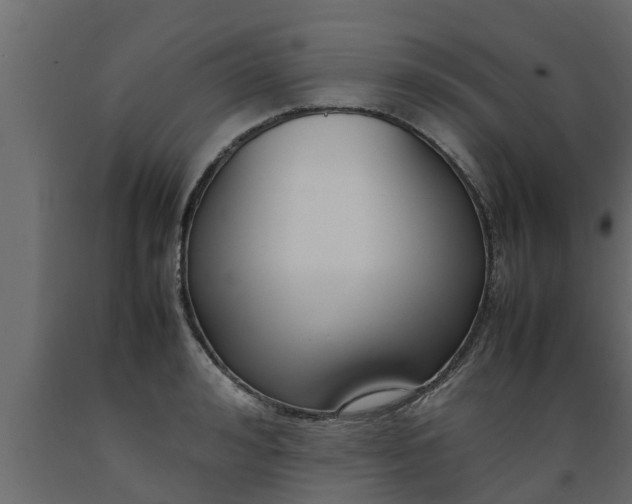 X0000089460992200707061259