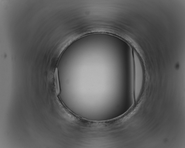 X0000089460993200707061259