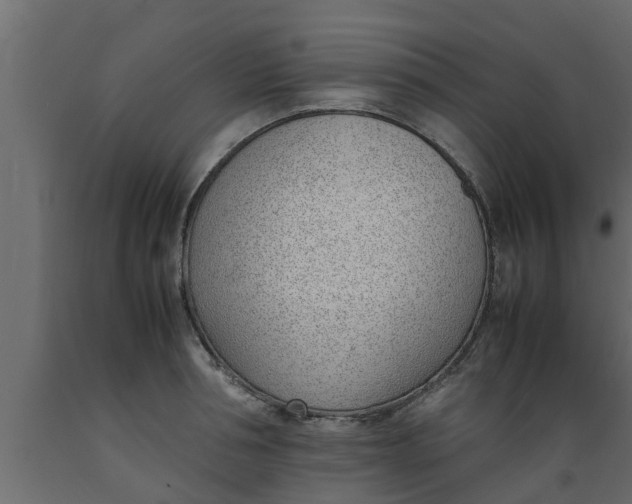 X0000089460994200707061259