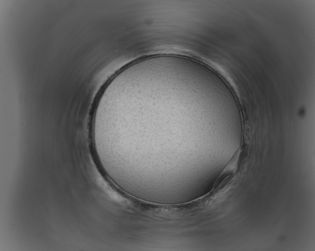 X0000089460995200707061259