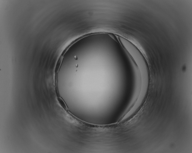 X0000089460996200707061259