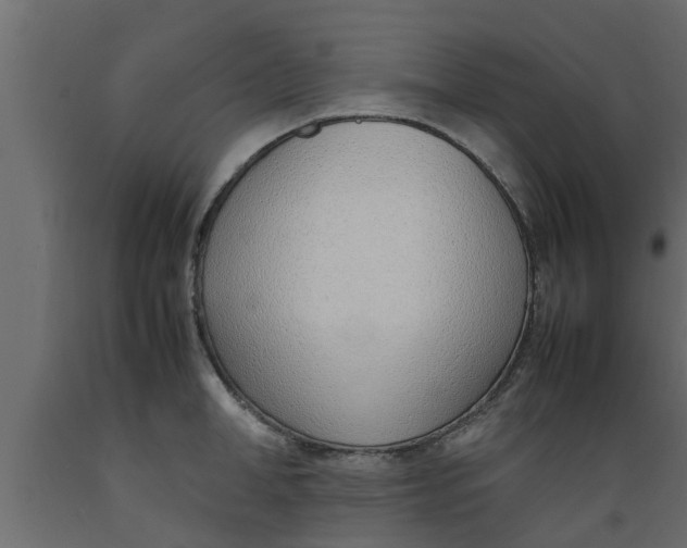 X0000089460998200707061259