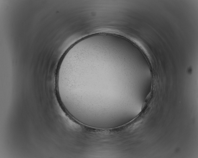 X0000089460999200707061259