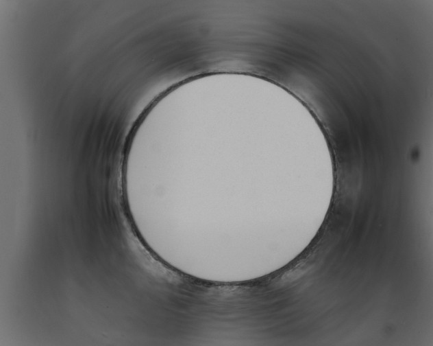 X0000089461000200707061259