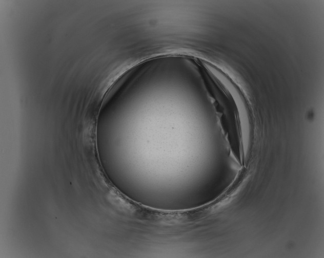 X0000089461001200707061259