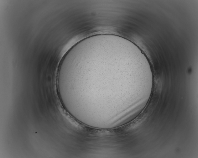 X0000089461002200707061259