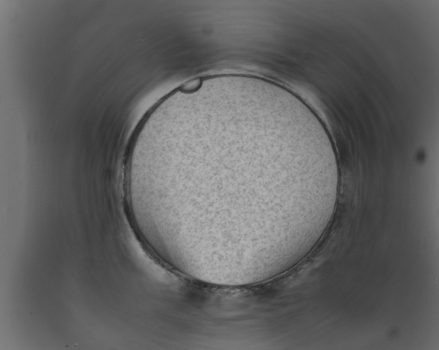 X0000089461003200707061259