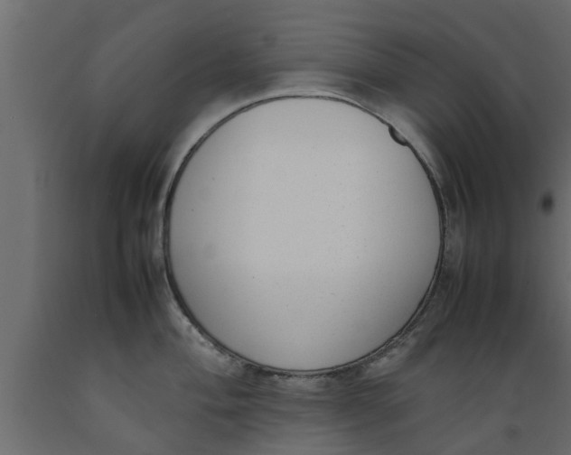 X0000089461004200707061259