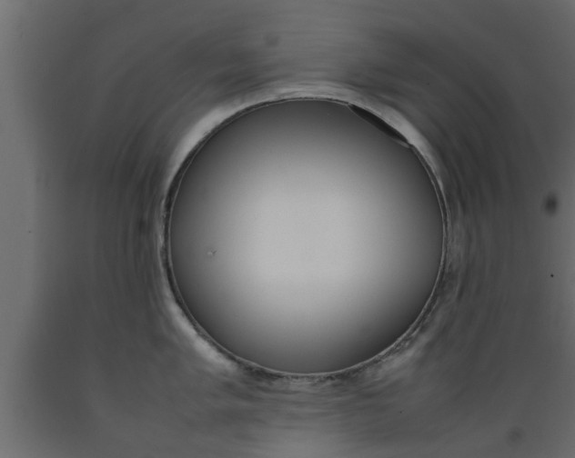 X0000089461005200707061259