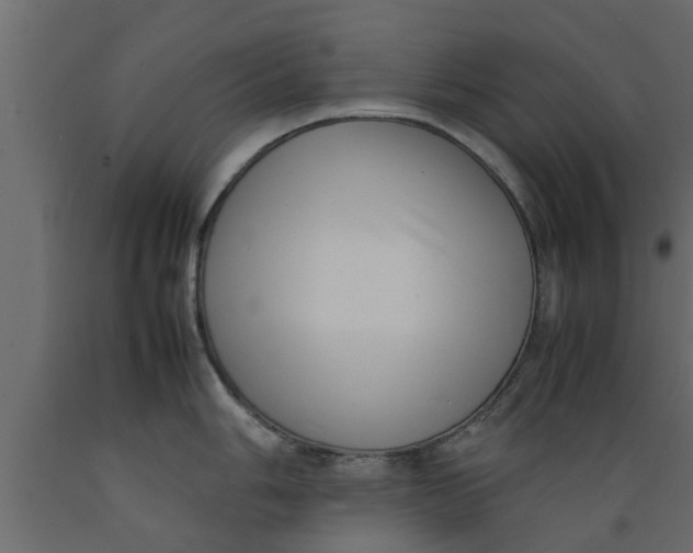 X0000089461006200707061259
