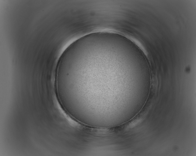 X0000089461007200707061259