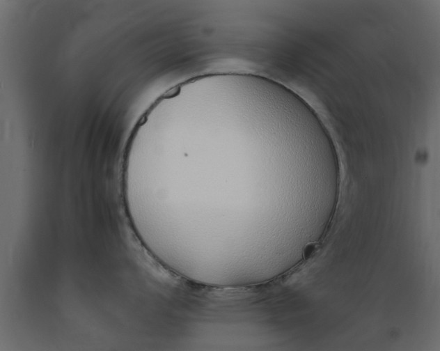 X0000089461008200707061259