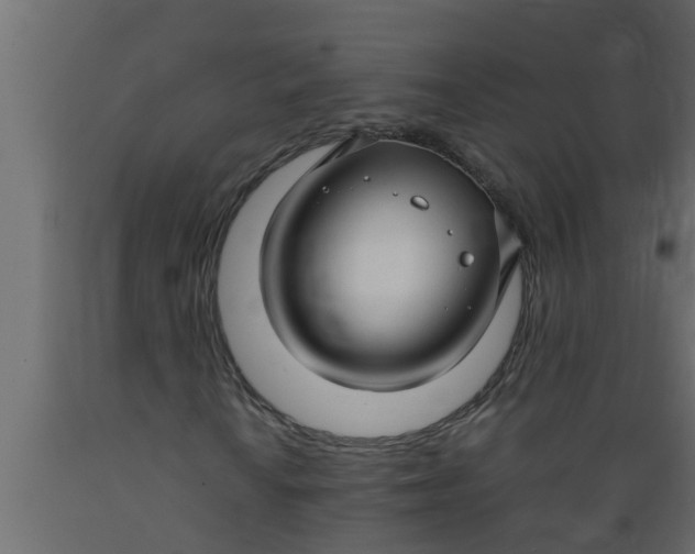 X0000089461010200707061258