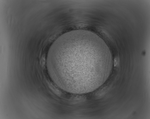 X0000089461011200707061258