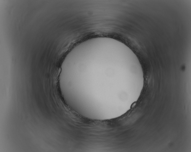 X0000089461012200707061258