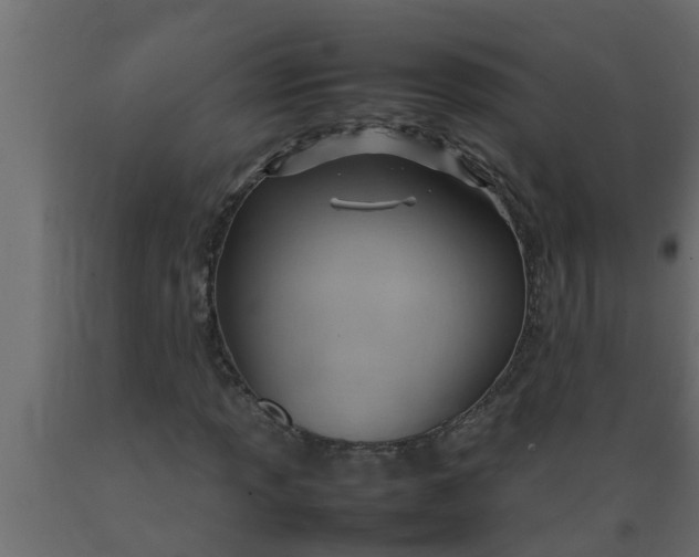 X0000089461013200707061258