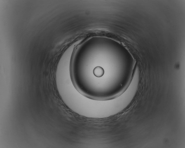 X0000089461014200707061258