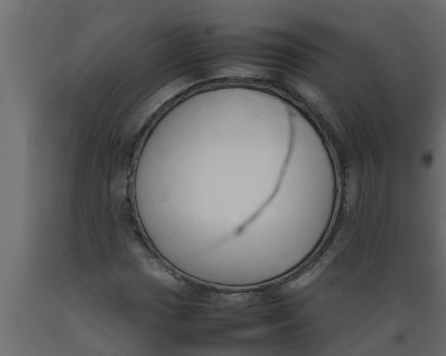 X0000089461017200707061258
