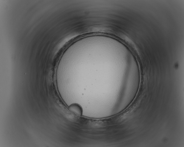 X0000089461019200707061258