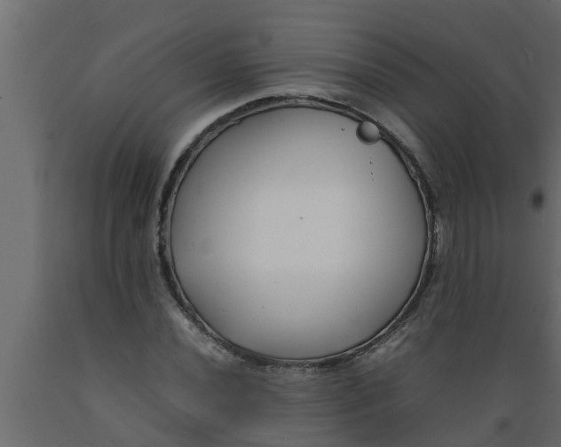 X0000089461020200707061258