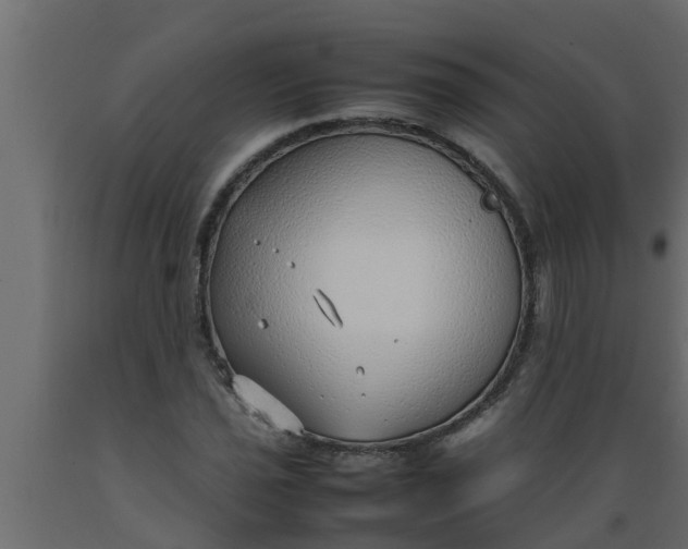 X0000089461021200707061258