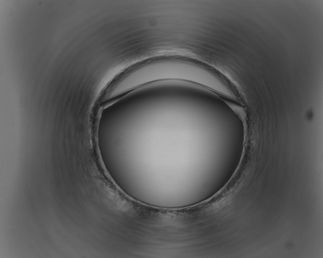 X0000089461022200707061258