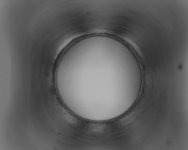 X0000089461023200707061258