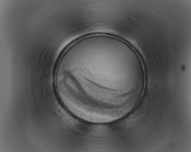 X0000089461024200707061258
