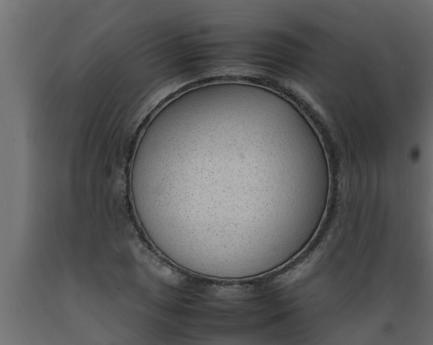 X0000089461025200707061258