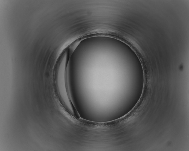 X0000089461026200707061258