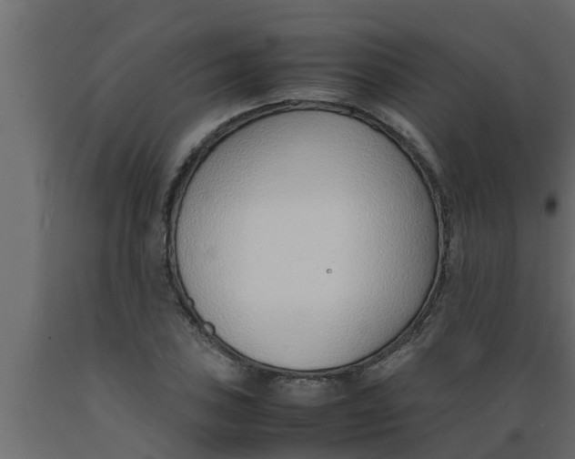 X0000089461027200707061258
