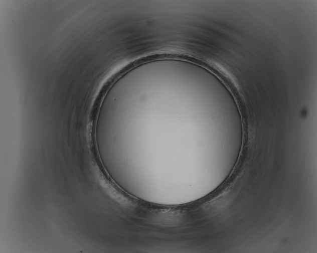 X0000089461029200707061258