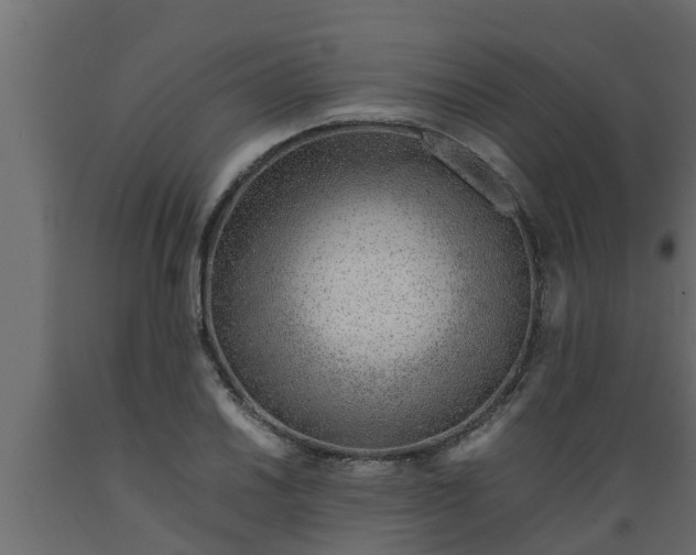X0000089461030200707061258