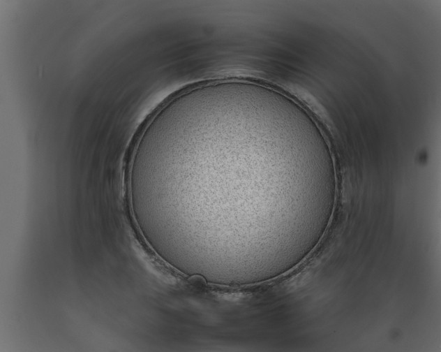 X0000089461031200707061258