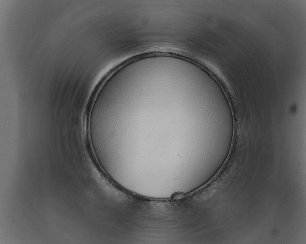 X0000089461032200707061258