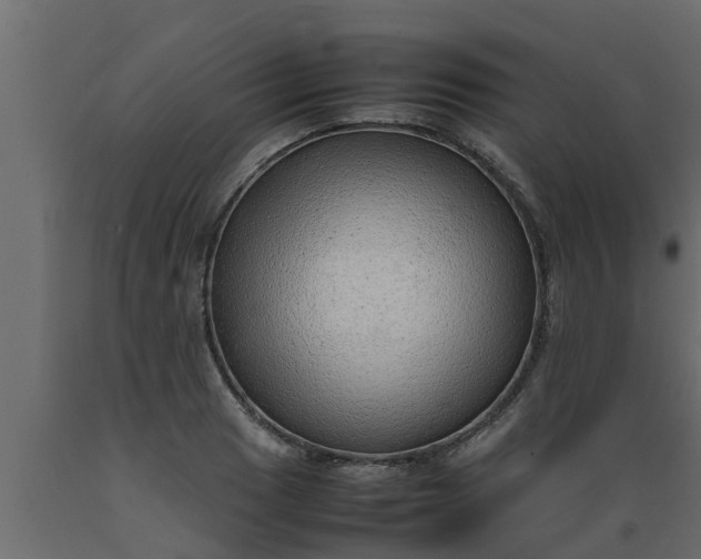 X0000089461033200707061258