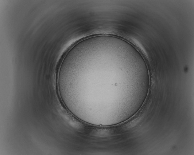 X0000089461035200707061258